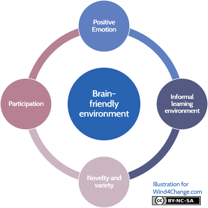 Training from the back of the room stresses the importance of a brain-friendly environment for learning: positive emotions, informal learning environment, novelty and variety and at last active participation.